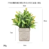 Cross-border best-selling square pulp potted plant 4-piece home decoration set, artificial green plant desktop artificial bonsai set Application Scenario